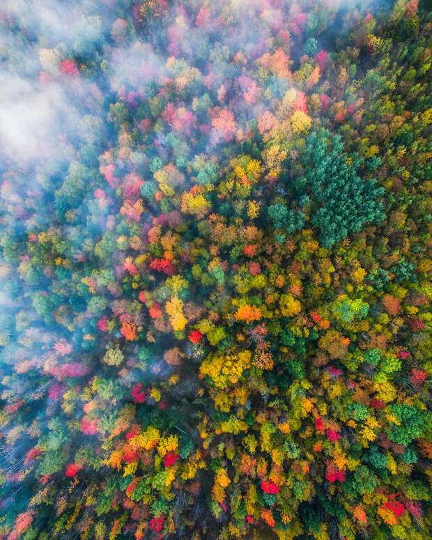 Vermont