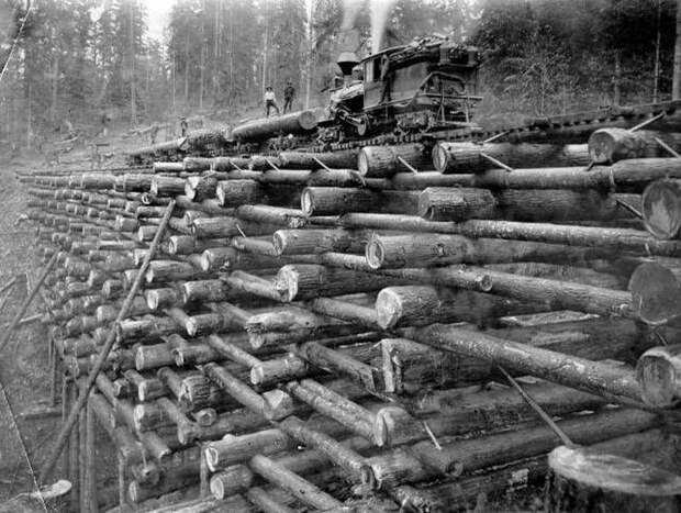 Подборка замечательных снимков (51 фото)