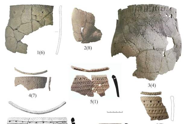 КНЦ СО РАН: сибирские охотники-собиратели ели мед диких пчел 8 тысяч лет назад
