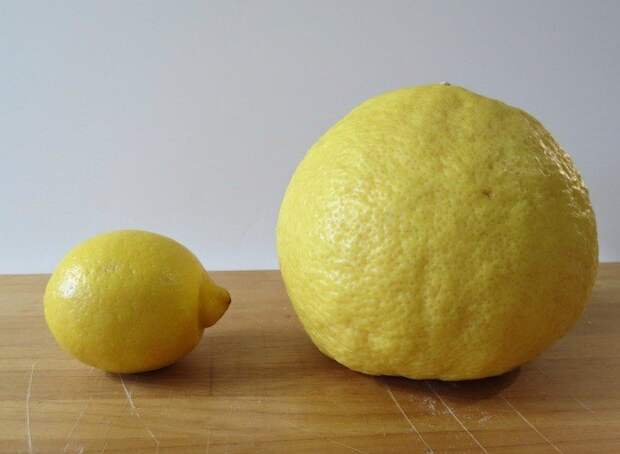 Лимон: секреты выбора