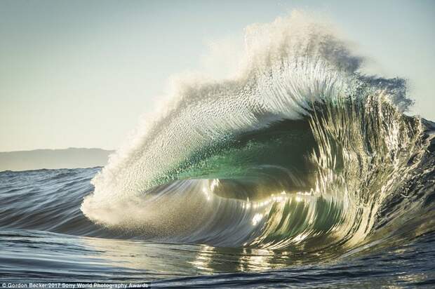 Глазами серера. Большая волна у юго-западного побережья Австралии искусство, конкурс, красота, фото