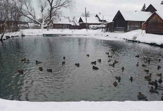 Итоги областного фотоконкурса «Мир глазами ветерана» подвели в Нижнем Новгороде