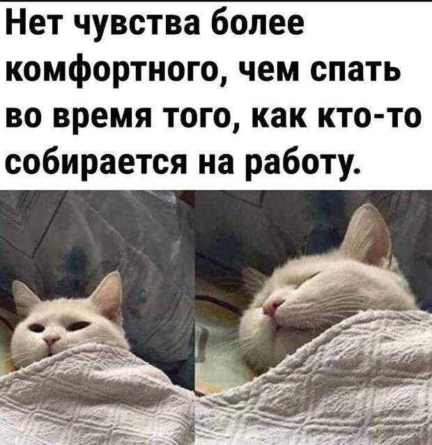 Смешные картинки с надписями (17)