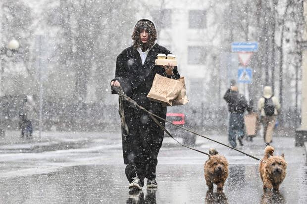 Назван срок таяния снега в Москве