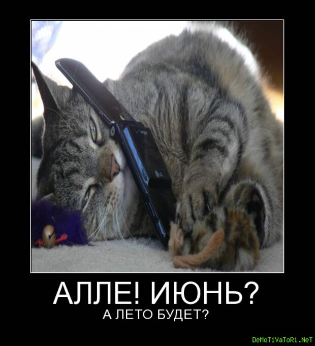 34a33f56032dbbfd8ab33d3c77ba790c