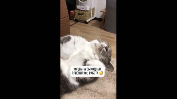 Video: Видео от Донецкая группа новостей|Донецк.ДНР