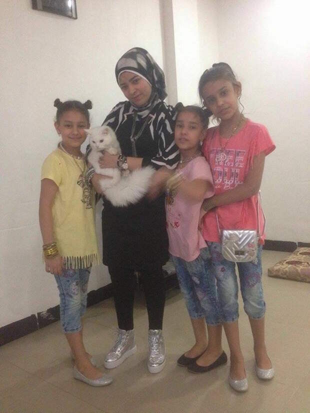 Волонтеры помогли потерявшемуся коту вернуться в семью иракских беженцев  добро, мир, человек