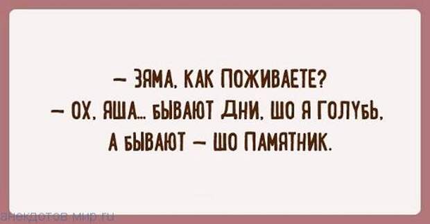 Несколько отличных шуток из Одессы — заряд позитива
