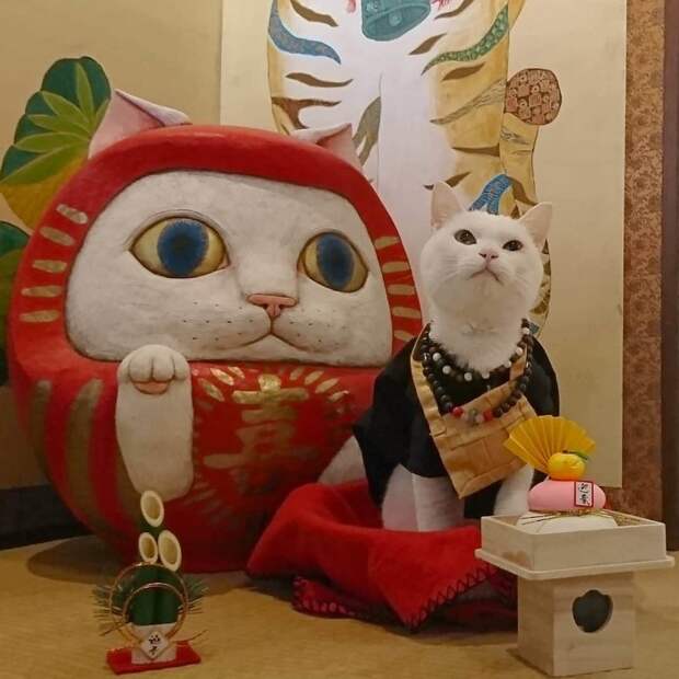 Храм кошек в Японии – новая святыня