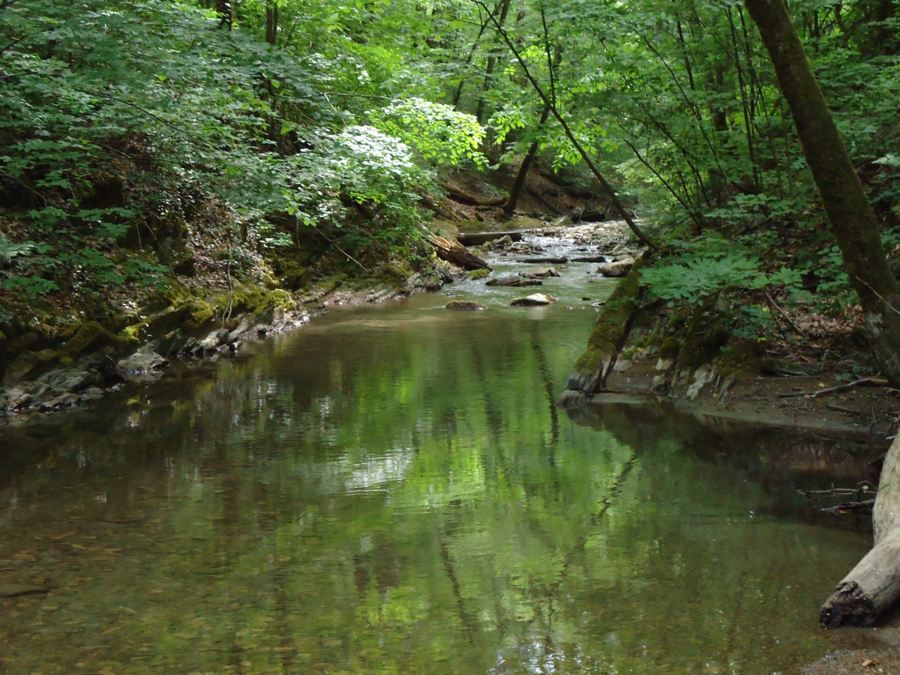 Река Шапарка