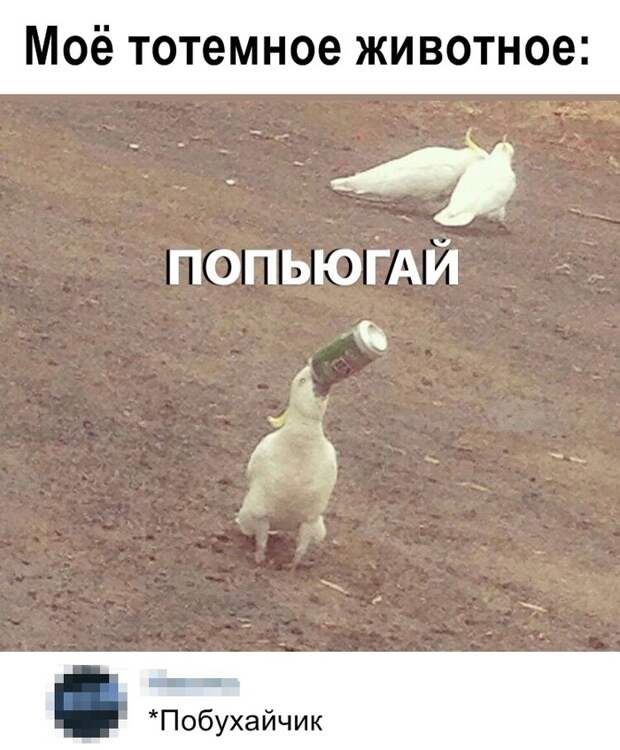 Мой тотем Мой тотем