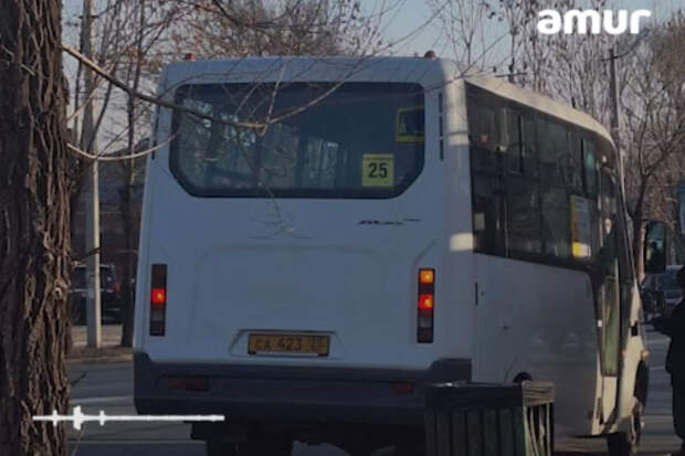 В Приморье водитель захотел выбросить детей из автобуса из-за шумных смартфонов