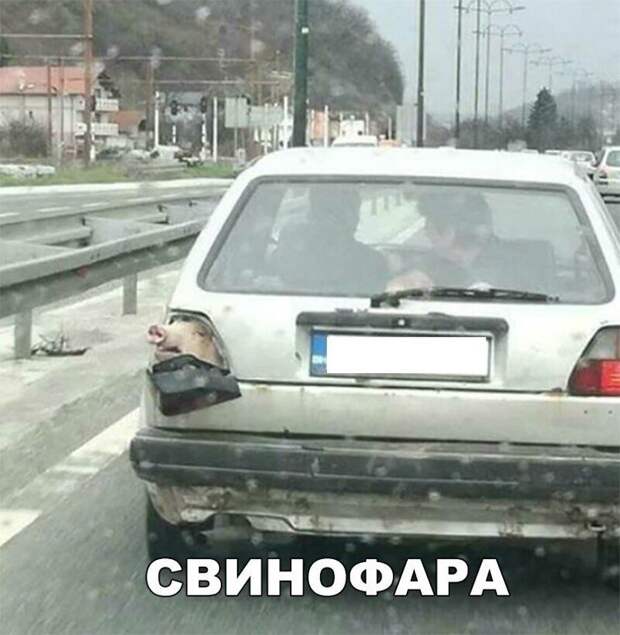luchshie-smeshnye-kartinki-s-tekstom-i-frazami-zabavnaja-podborka-1.jpg