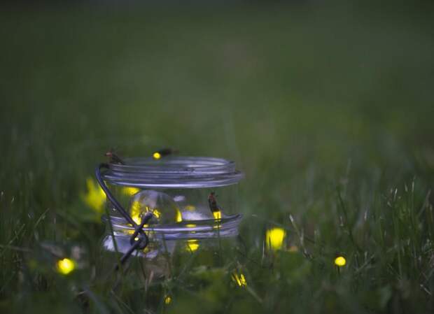 Про наши суеверия - понятно, а вот чего боятся американцы (странные предрассудки)