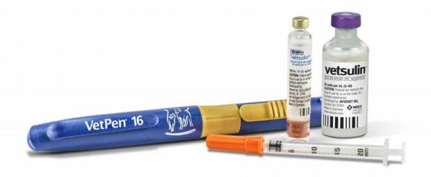 Базальные инсулины: понятие, определение, структура, расчет оптимального количества, функции и правила применения