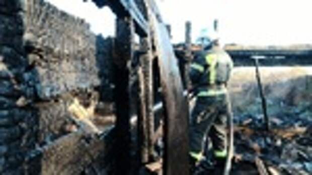 Фото: МЧС Алтайского края