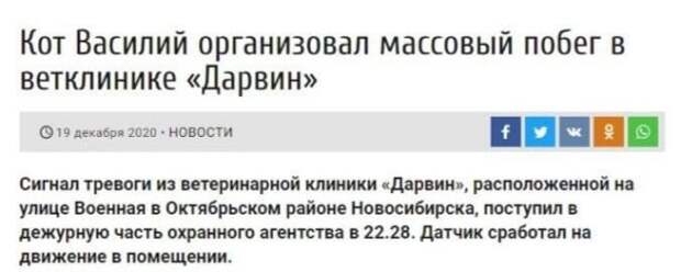 Трешовые заголовки в СМИ, которые мы видим каждый день