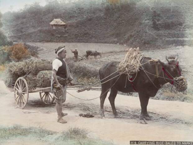 Бесценные старинные фото показывают, как жили японцы в 1890-х