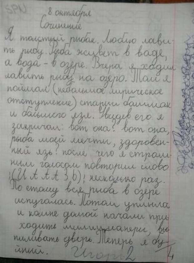 Несколько сочинений и работ школьников