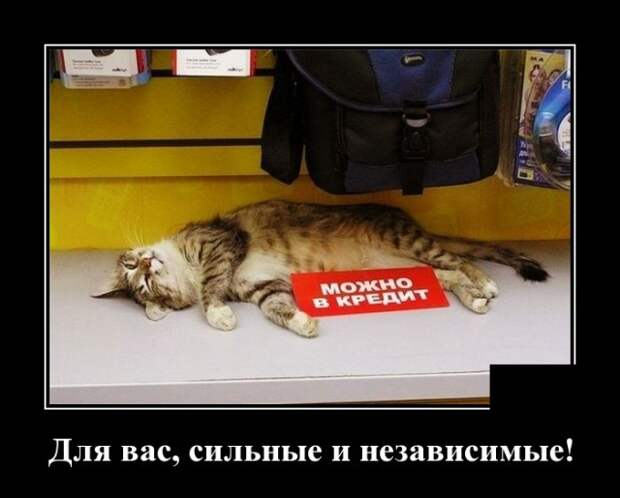 Демотиваторы (30 фото)