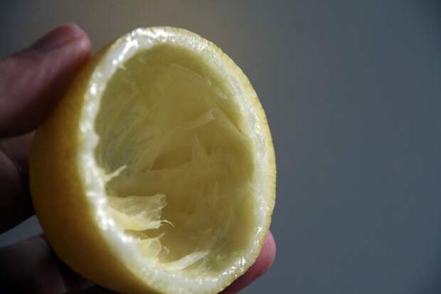 Не выбрасываю лимонные корки, использую их для посадки семян и удобряю огород