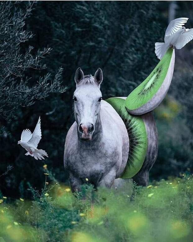 Вот для чего на самом деле придумали Photoshop