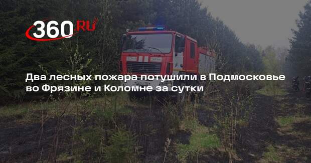 Два лесных пожара потушили в Подмосковье во Фрязине и Коломне за сутки