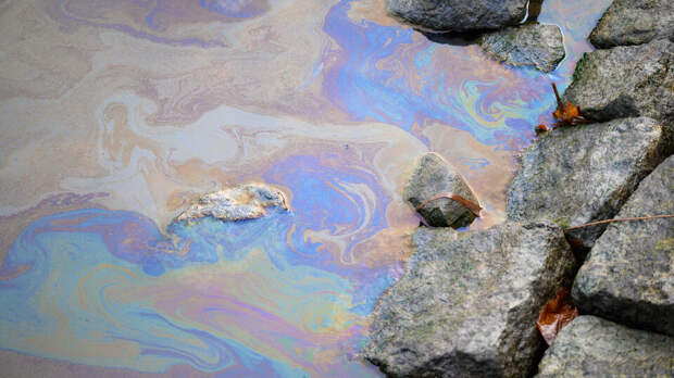 Минсельхоз Приднестровья обвинил Молдавию в сильном загрязнении Днестра