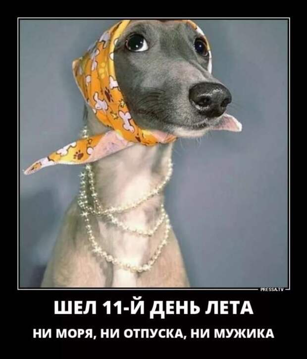 Демотиваторы. Подборка chert-poberi-dem-chert-poberi-dem-18020919052020-7 картинка chert-poberi-dem-18020919052020-7