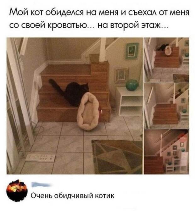 30 прикольных картинок