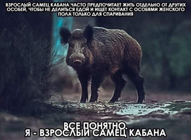 Подборка картинок. Вечерний выпуск (21 фото)