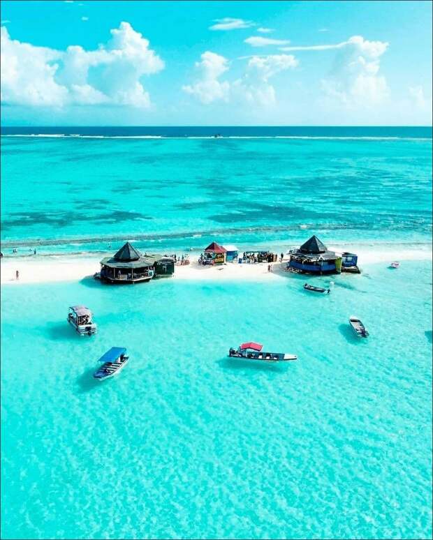 фото приколы