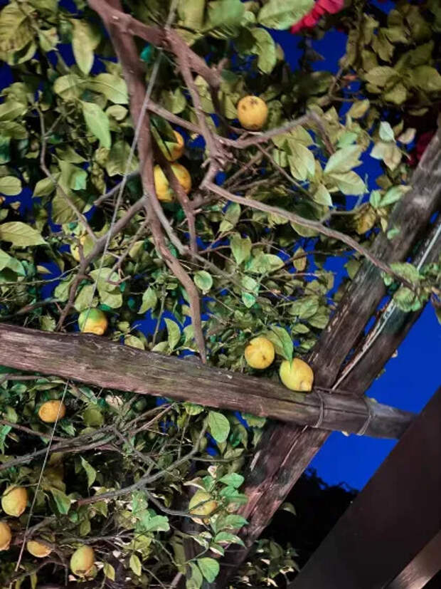 Фото Гвинет Пэлтроу