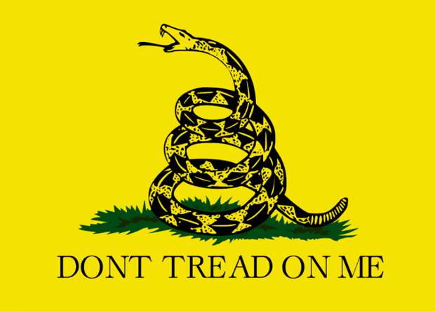 Вот такой был сначала флаг у США. Почему там была змея?