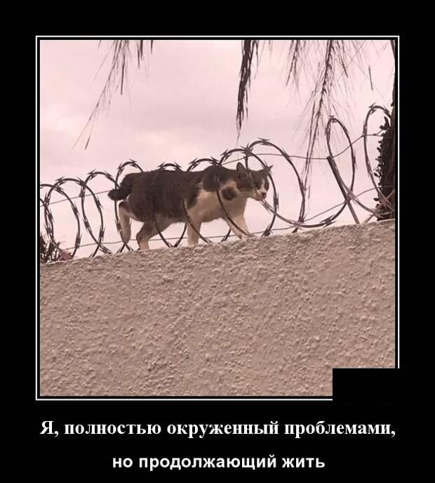 Демотиваторы (30 фото)