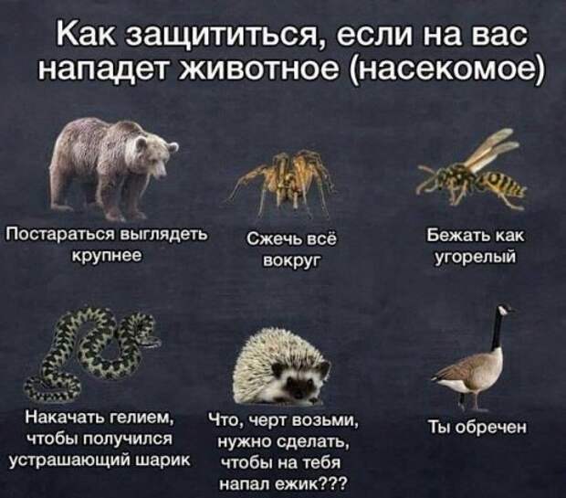 Прикольные картинки субботним утром (42 шт)