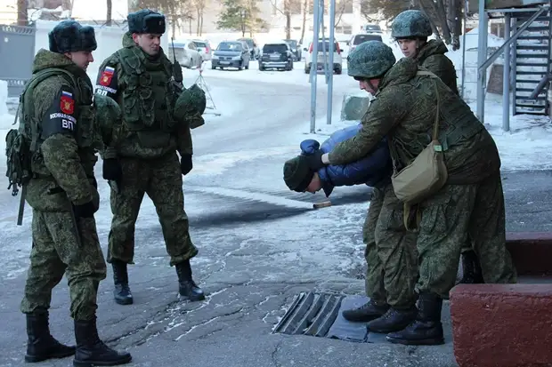 В Ростове жители не ходят на улицу из-за собак, а власти назначили главу потребрынка