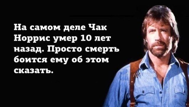 www.vsyako.net