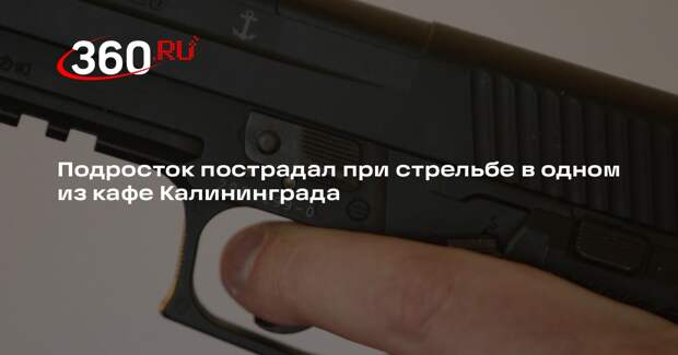 МВД: подросток выстрелил в 16-летнего парня в кафе из пневматики