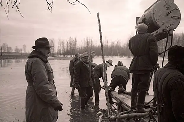 Съемки фильма Летят журавли, 1957 год
