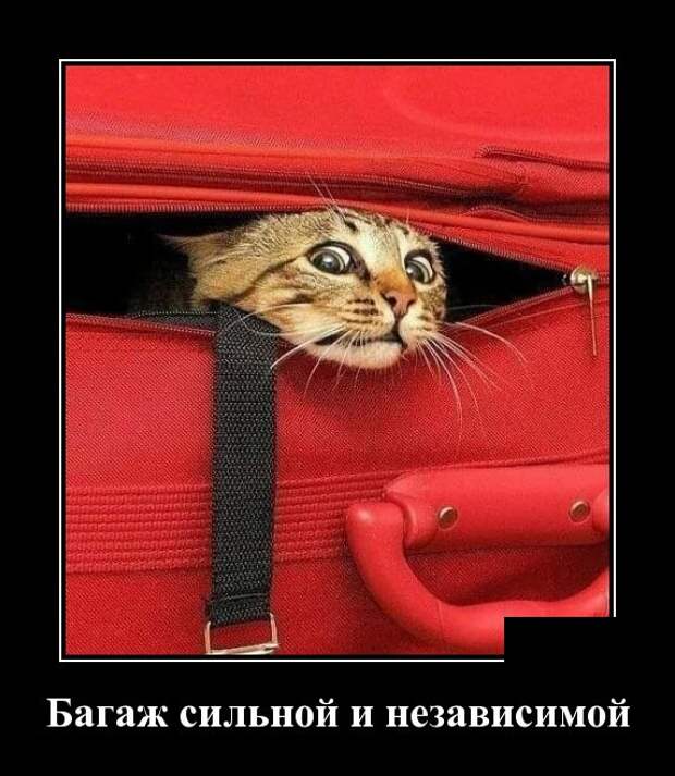Демотиваторы (30 фото)