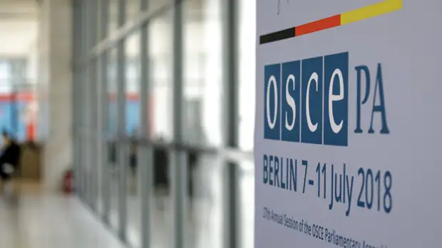 В парламентской ассамблее ОБСЕ призвали полицию США к сдержанности