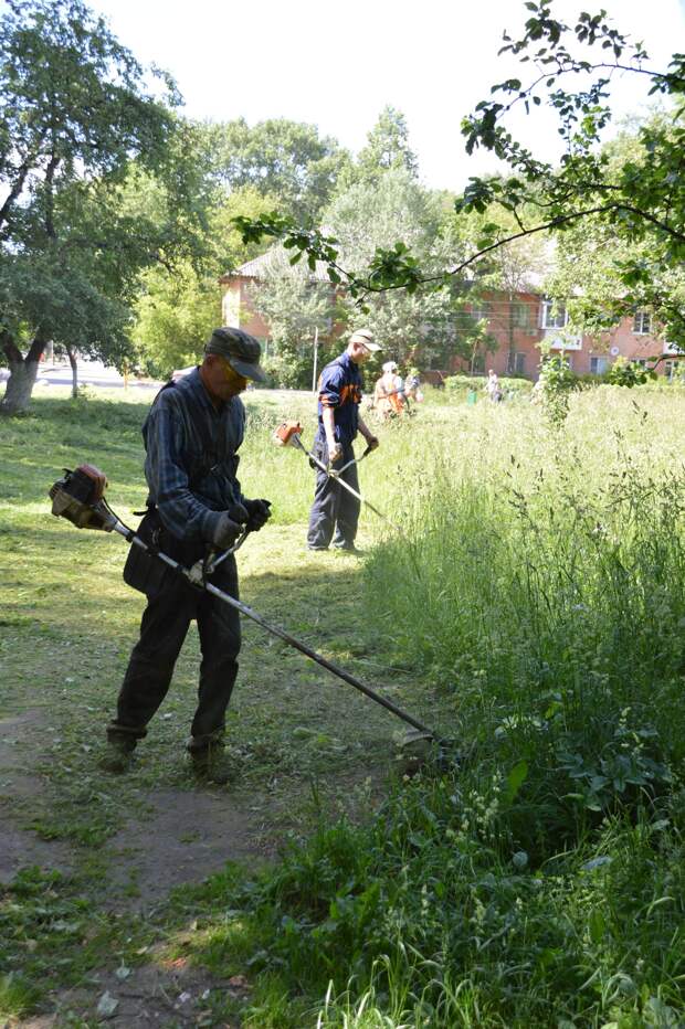 В Твери косят траву вдоль дорог обустраивают клумбы в скверах