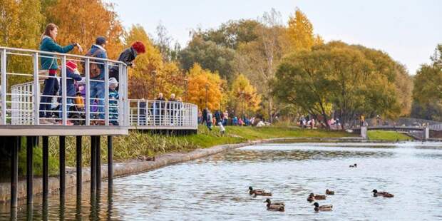 В Москве стартовало голосование по качеству благоустройства парков