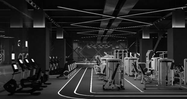 Crocus Group запустит сеть фитнес-центров