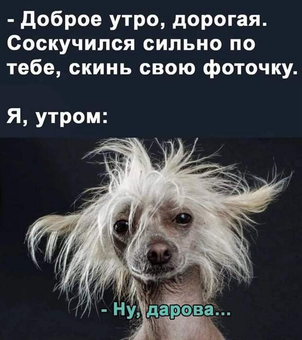 Два охотника наткнулись в лесу на свежие следы медведя...