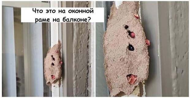 12 человек, которые взялись за расследование странных штуковин