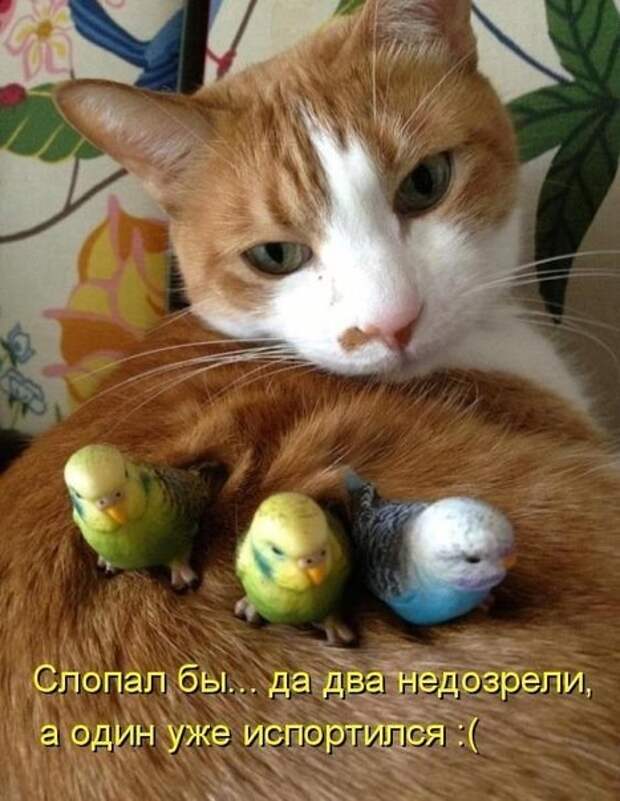 https://mur.tv/wp-content/uploads/2017/04/original-13-3.jpg