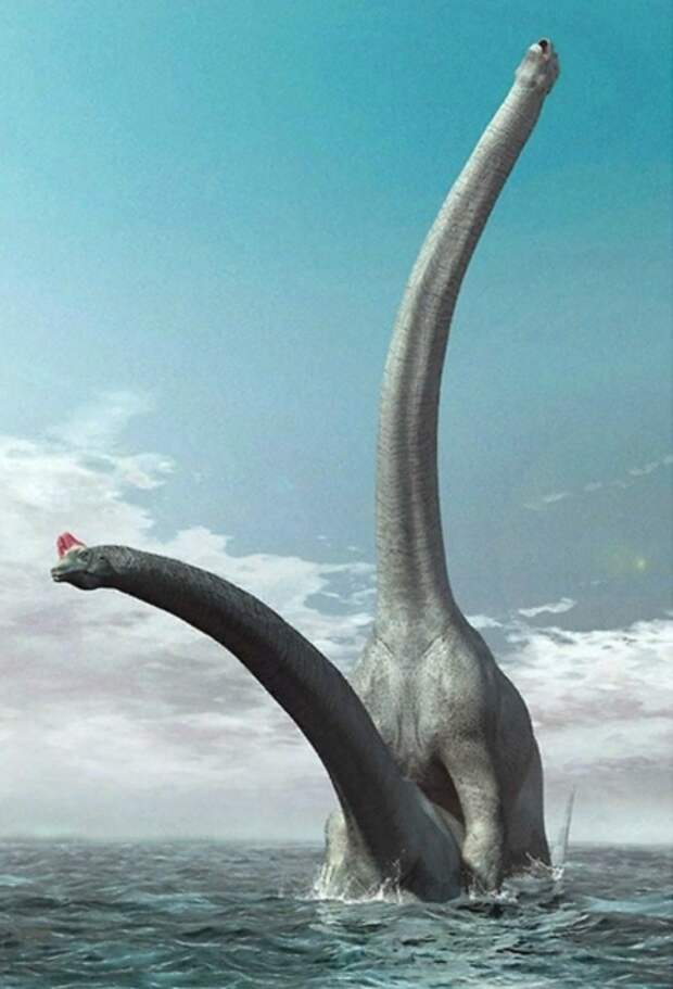 Да, это брахиозавры, но диплодоки, по предположениям учёных, делали точно также. 