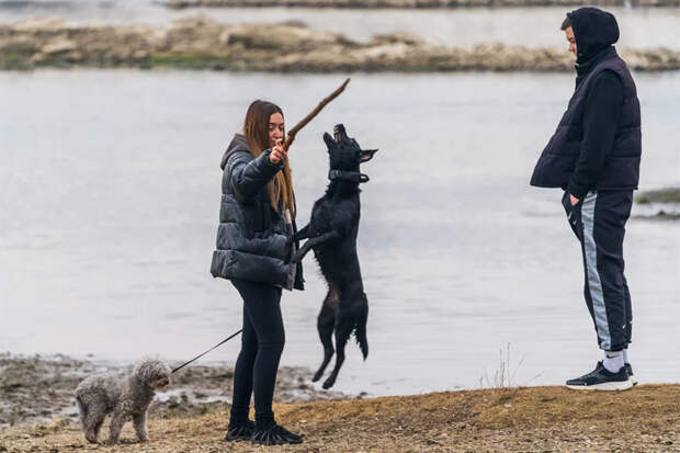 Прогноз погоды на 28-31 октября в Новосибирске сделали синоптики